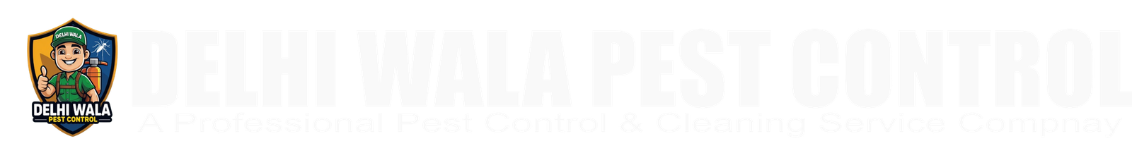 Delhi Wala Pest Control in Delhi